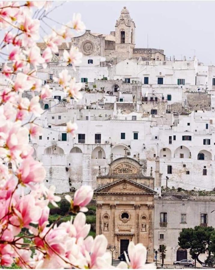 Bed and Breakfast Dal Signor Wolf Pezze Di Greco Exterior foto